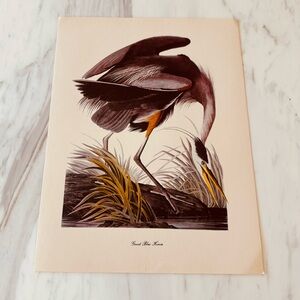 Elegant Vintage Blue Heron Art Print